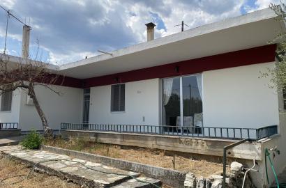 Detached House 75sq.m.