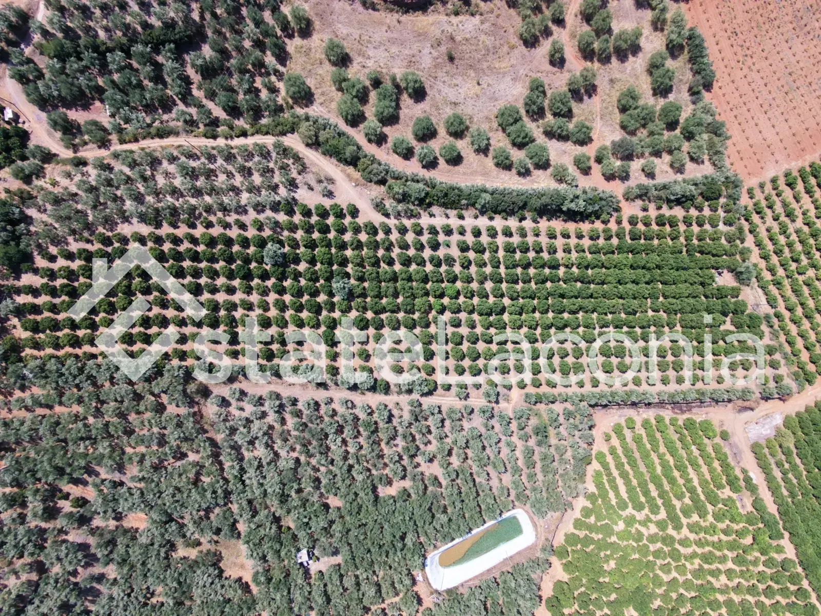 Productive Agricultural Land of 13,800 m² with Borehole & 580 Trees – Kato Glykovrysi