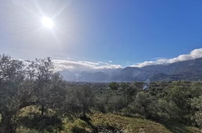 Land plot 7.700sq.m.